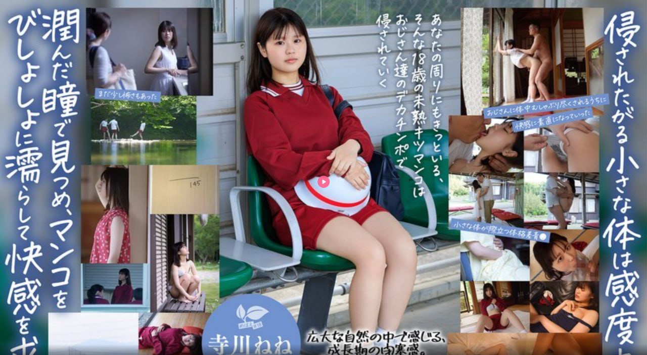 搭讪的法则高清版在线-无需下载搭讪的法则全集-SHIDAI...